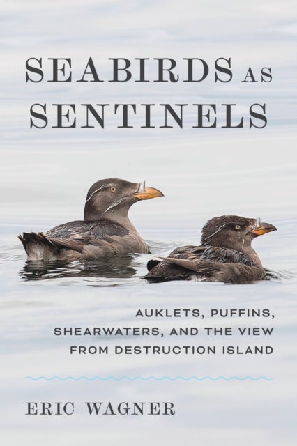 Seabirds As Sentinels - Auklets, Puffins, Shearwaters, and the View from Destruction Island