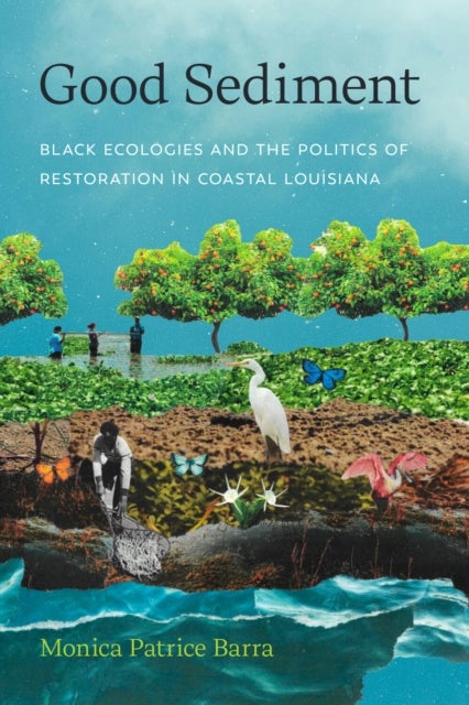 Good Sediment - Black Ecologies and the Politics of Restoration in Coastal Louisiana