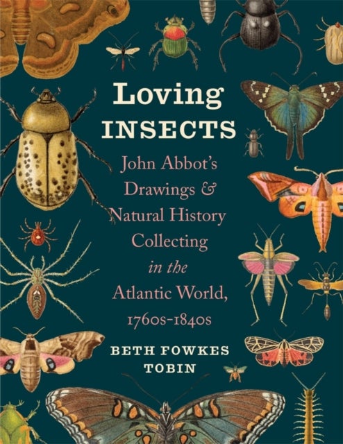 Loving Insects - John Abbot’s Drawings and Natural History Collecting in the Atlantic World, 1760s-1840s