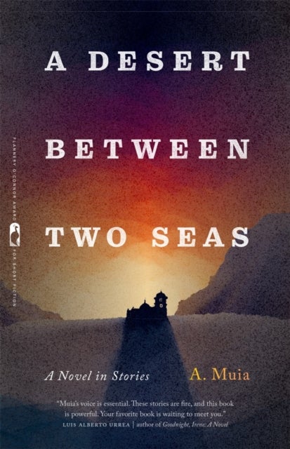 A Desert between Two Seas – A Novel in Stories
