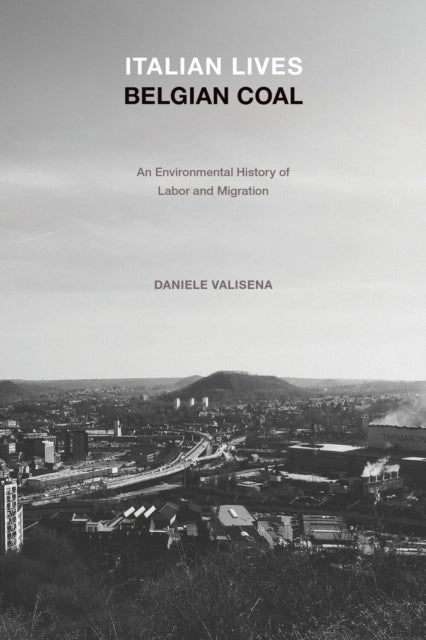 Italian Lives, Belgian Coal