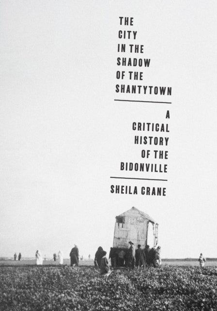 The City in the Shadow of the Shantytown
