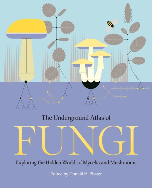 The Underground Atlas of Fungi