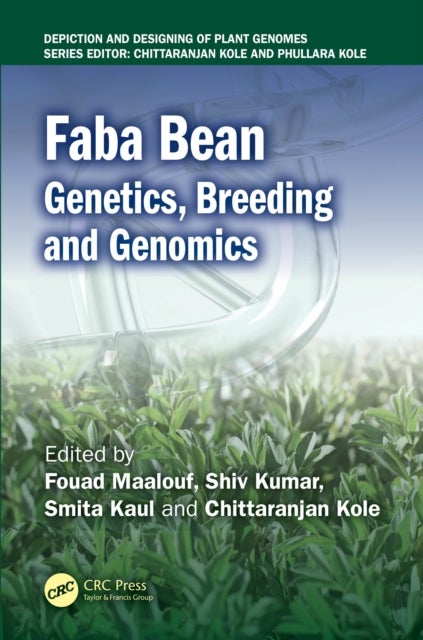 Faba Bean
