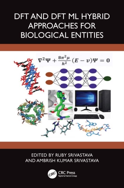 DFT and DFT ML Hybrid Approaches for Biological Entities