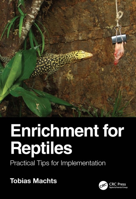 Enrichment for Reptiles - Practical Tips for Implementation