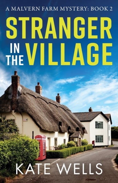 Stranger in the Village - A page-turning, addictive cozy mystery from Kate Wells