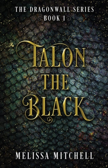 Talon the Black - A Slow Burn Fantasy Series