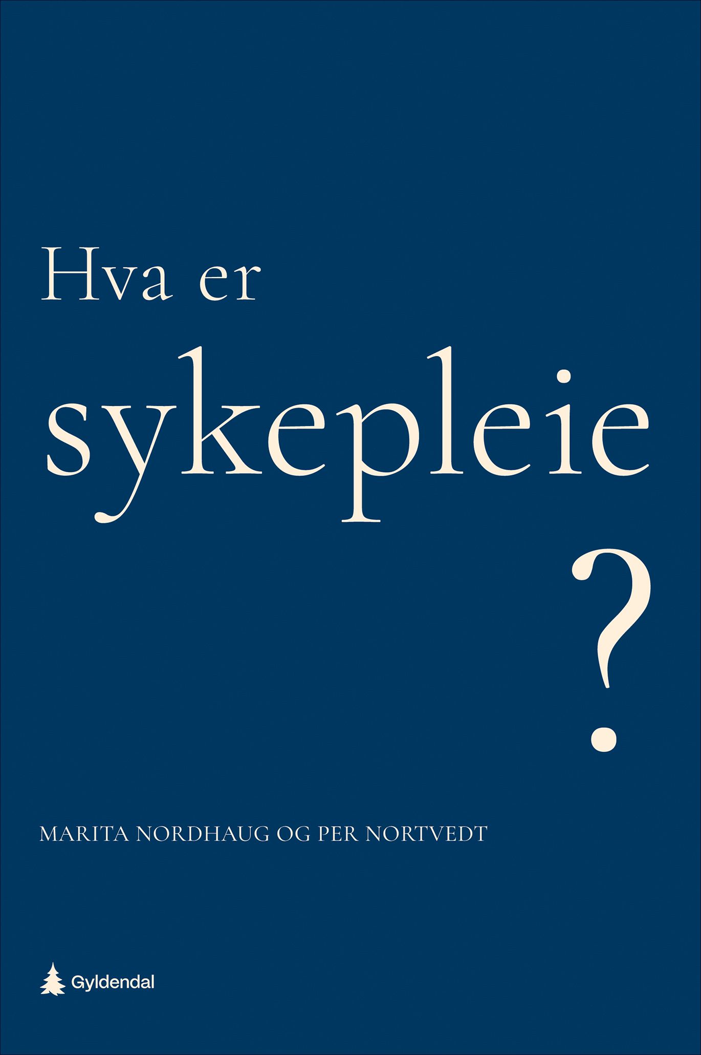 Hva er sykepleie?