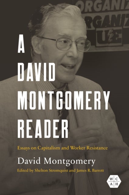 A David Montgomery Reader - Essays on Capitalism and Worker Resistance