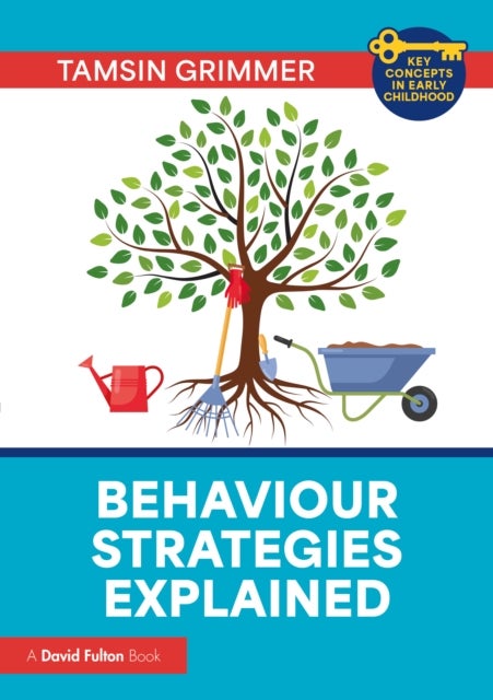 Behaviour Strategies Explained