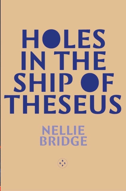 Holes in the Ship of Theseus