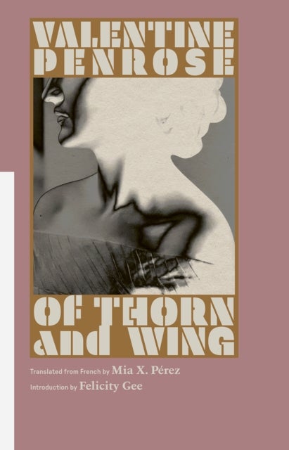Of Thorn and Wing - Collected Poems