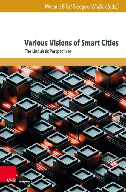 Various Visions of Smart Cities
