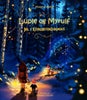 Jul i Kviskretiskeskogen
