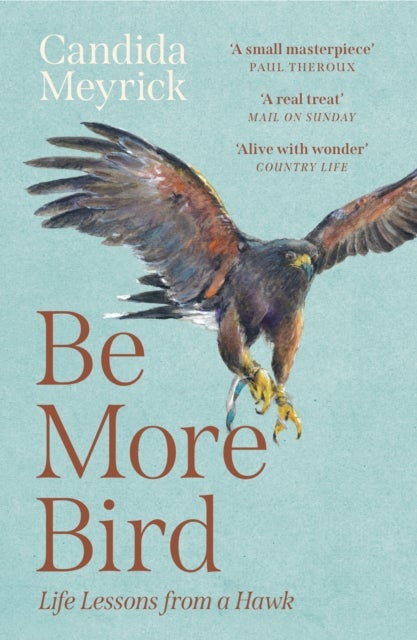 Be More Bird