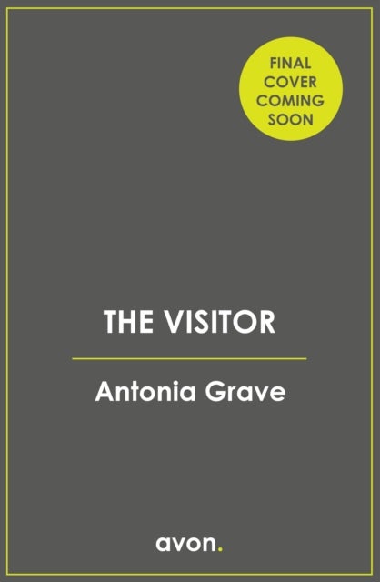 The Visitor