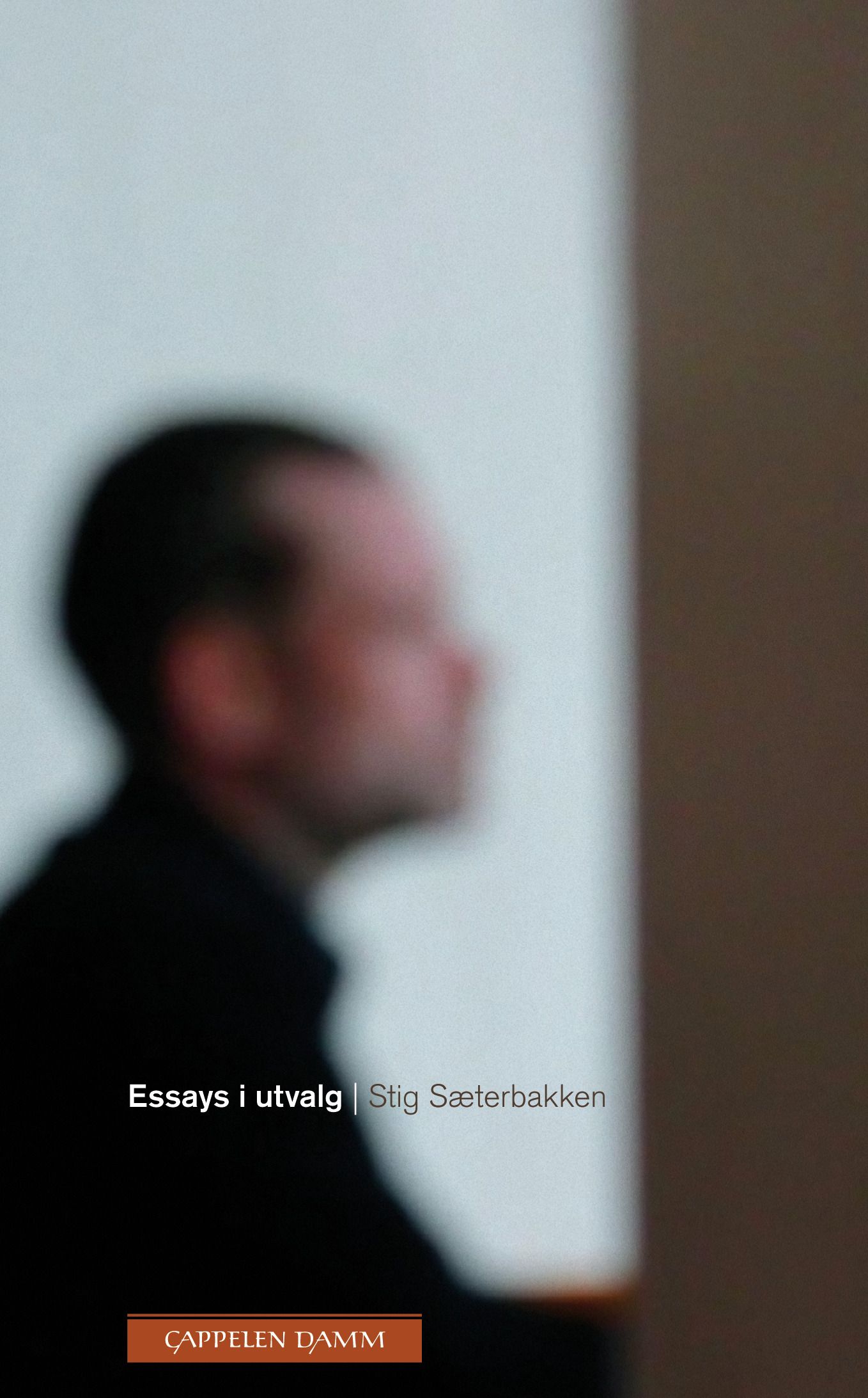 Essays i utvalg