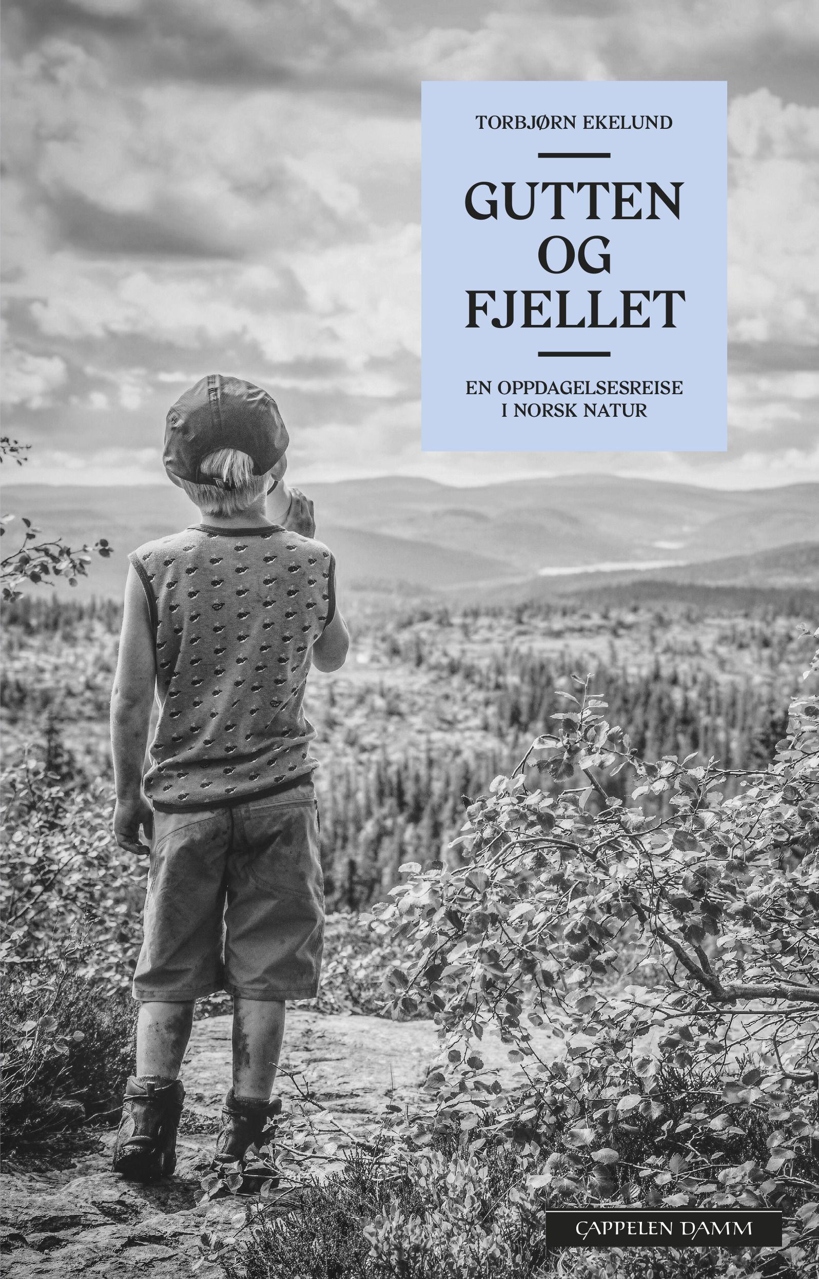Gutten og fjellet - en oppdagelsesreise i norsk natur