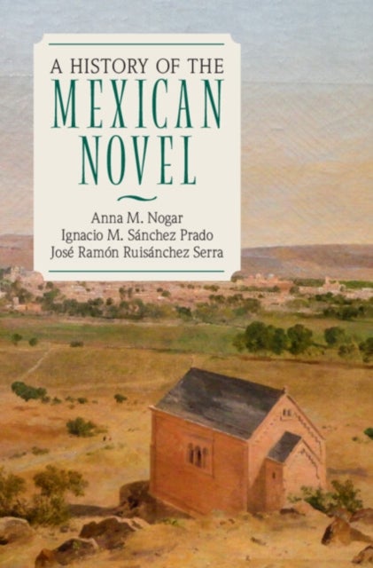 A History of the Mexican Novel