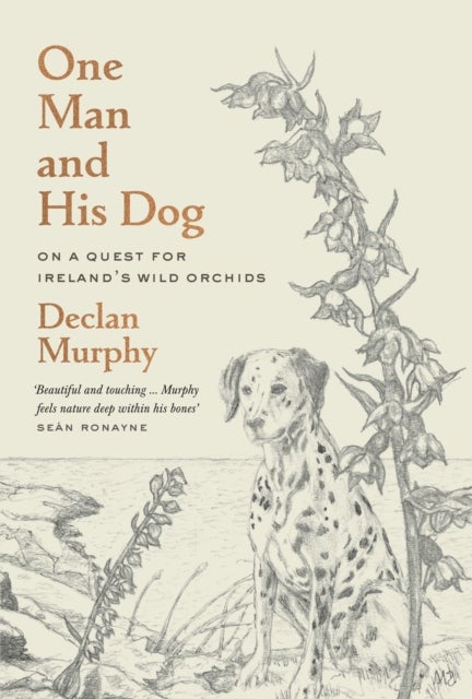 One Man and his Dog - The Hunt for the Wild Irish Orchid