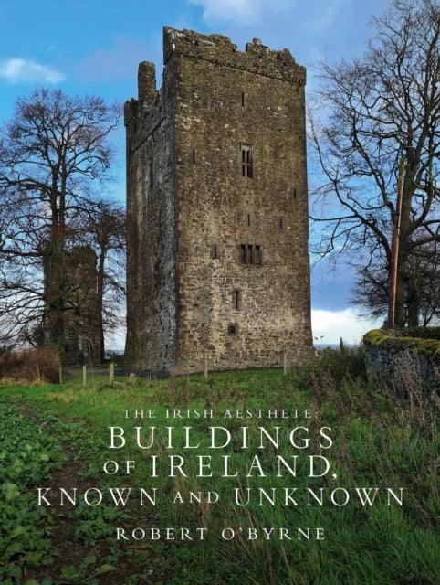 The Irish Aesthete: Buildings of Ireland, Known and Unknown