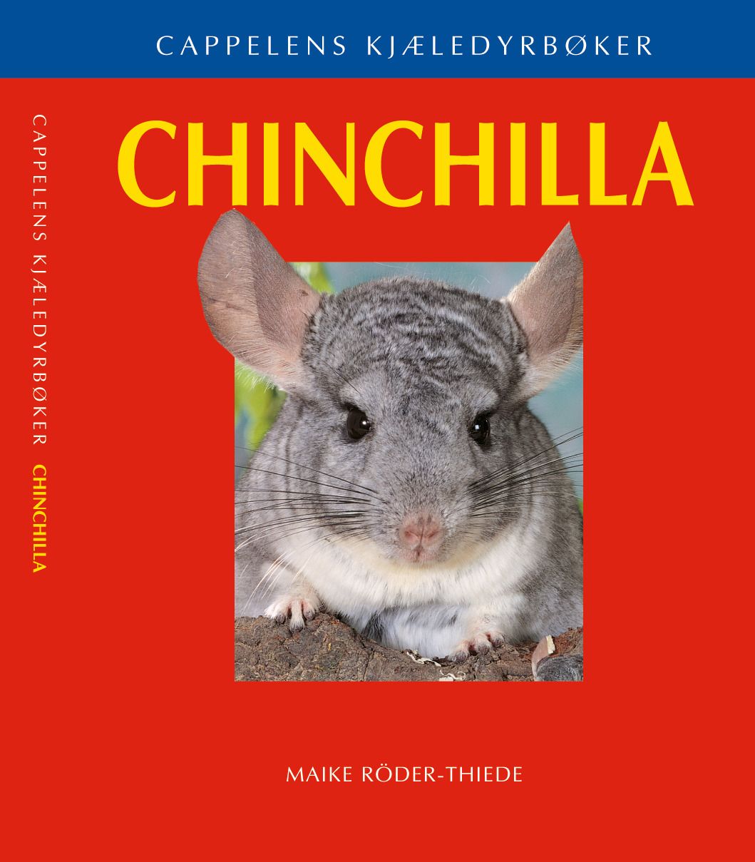 Chinchilla