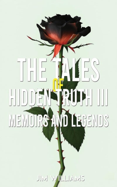 The Tales of Hidden Truth III