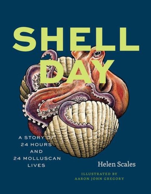 Shell Day