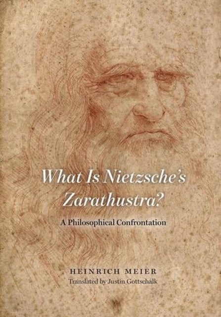 What Is Nietzsche's Zarathustra? - A Philosophical Confrontation