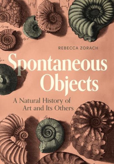 Spontaneous Objects – A Natural History of Art and Its Others - A Natural History of Art and Its Others