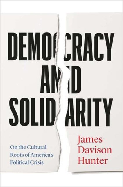 Democracy and Solidarity - On the Cultural Roots of America's Political Crisis