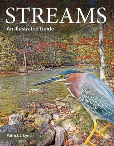 Streams - An Illustrated Guide