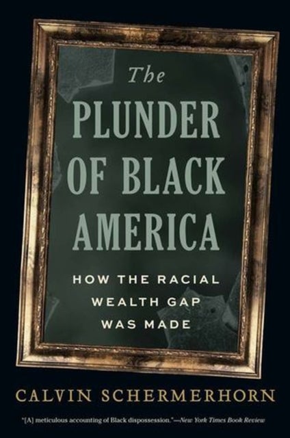 The Plunder of Black America - How the Racial Wealth Gap Was Made