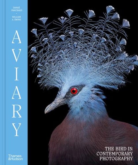 Aviary - The Bird in Contemporary Photography