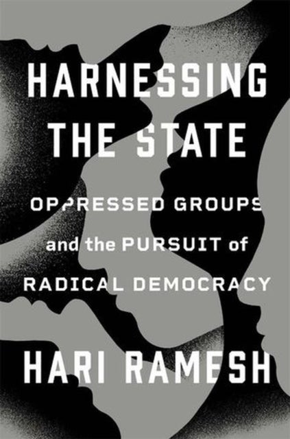 Harnessing the State - Oppressed Groups and the Pursuit of Radical Democracy