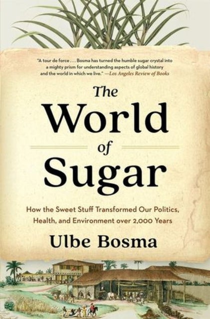 The World of Sugar