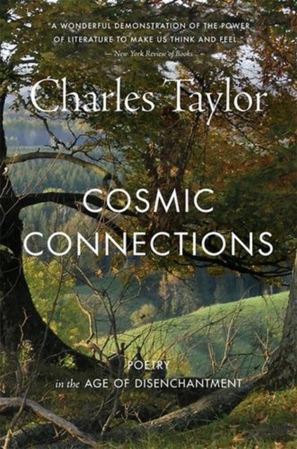 Cosmic Connections