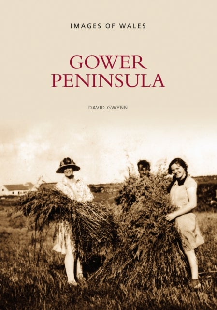 Gower Peninsula av David Gwynn