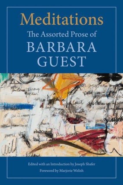 Meditations - The Assorted Prose of Barbara Guest