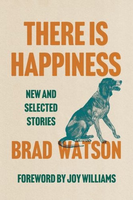 There Is Happiness - New and Selected Stories