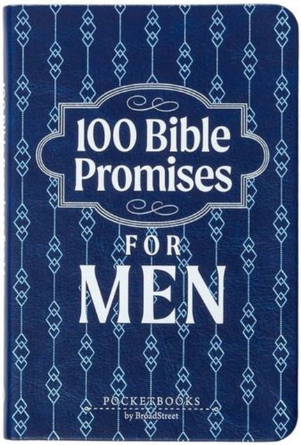 100 Bible Promises for Men