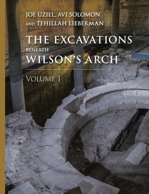 The Excavations Beneath Wilsons Arch, Volume 1