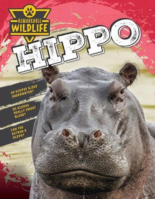Hippo