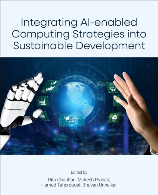 Integrating AI-enabled Computing Strategies into Sustainable Development