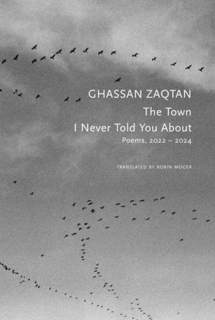 The Town I Never Told You About - Poems, 2022–2024