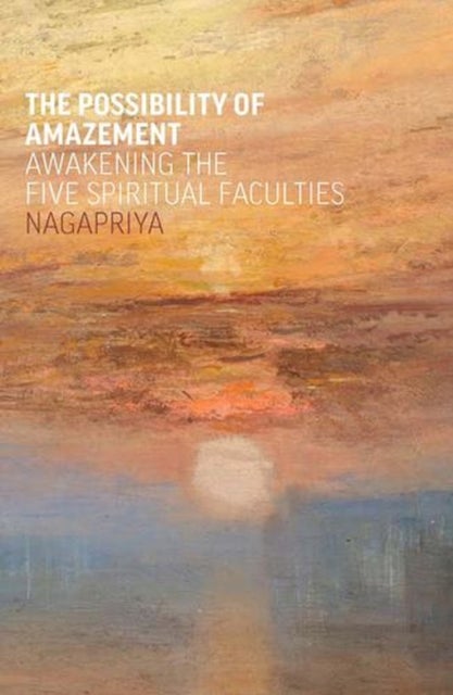 The Possibility of Amazement - Awakening the Five Spiritual Faculties
