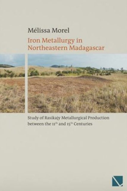Iron Metallurgy in Northeastern Madagascar av Melissa Morel