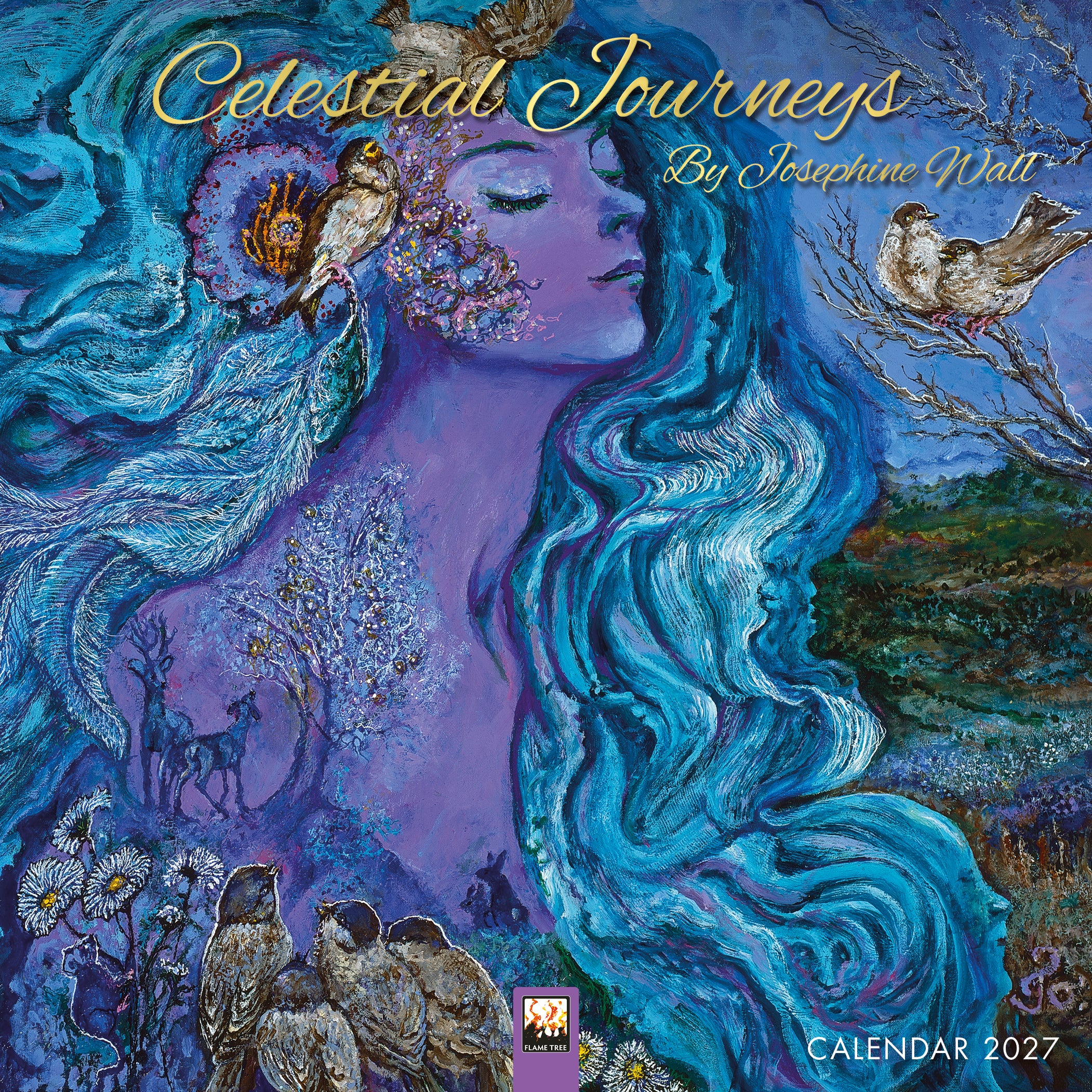 Kalender 2027 18x18 Celestial Journeys
