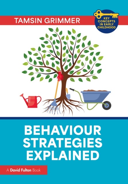 Behaviour Strategies Explained